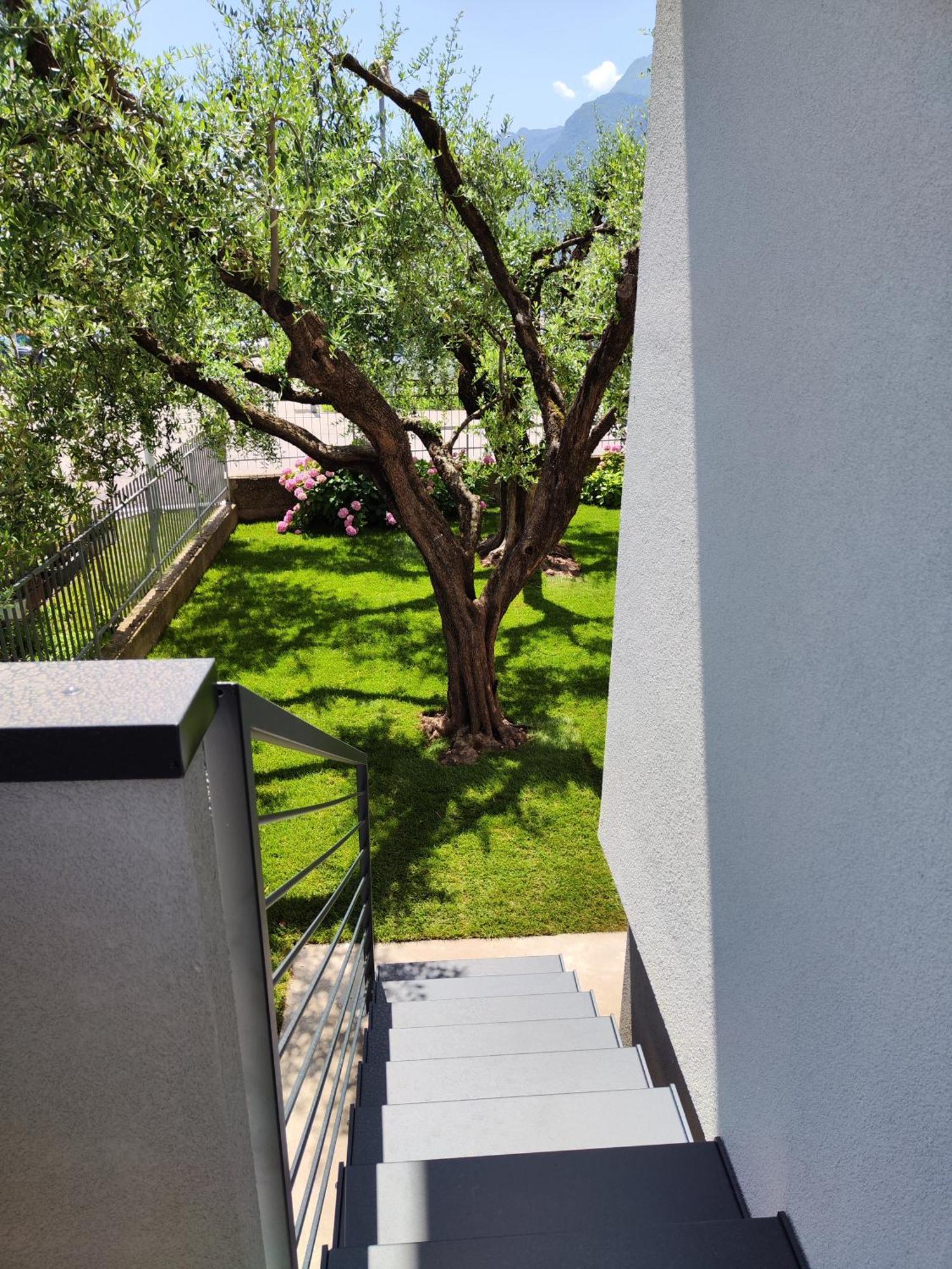 Oasi Degli Ulivi Apartment Riva del Garda Ngoại thất bức ảnh