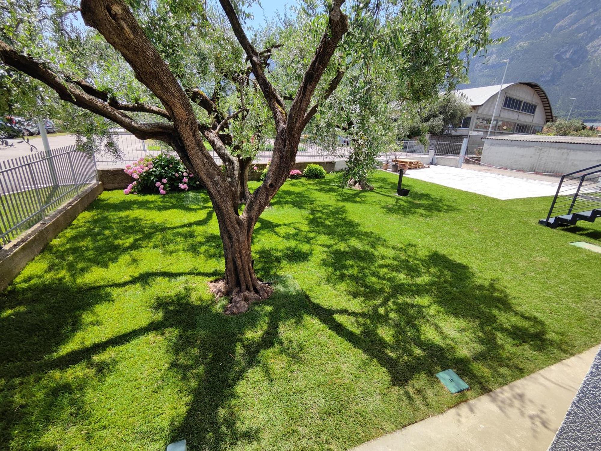 Oasi Degli Ulivi Apartment Riva del Garda Ngoại thất bức ảnh